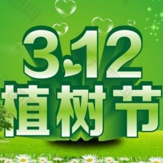 3.12植树节