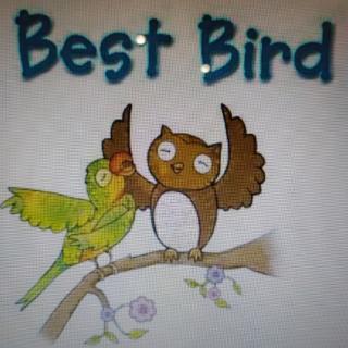 best bird