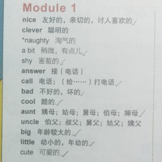 Module1