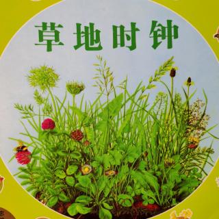 周老师讲故事《草地时钟1.》