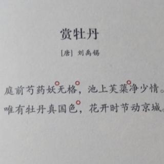 古诗50《赏牡丹》