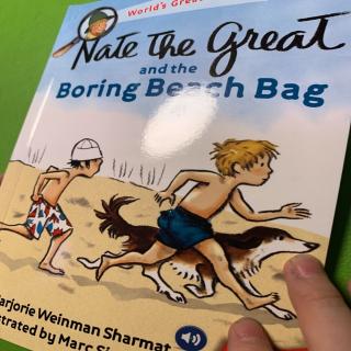 Nate the great and the boring beach bag