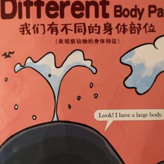 We have different body parts我们有不同的身体部位