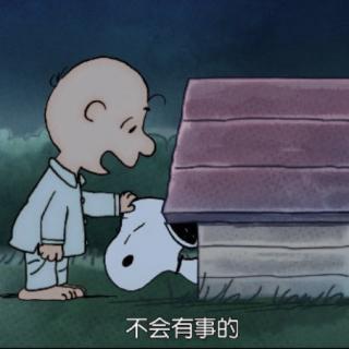 孤独，它遍布每一寸血脉中