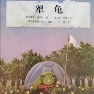 绘本故事《犟龟》