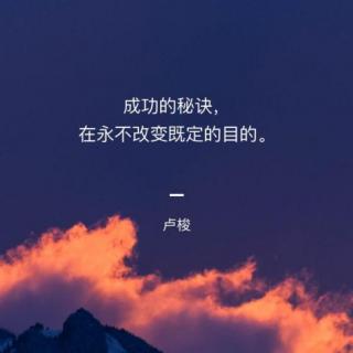 全脑阅读故事第八课