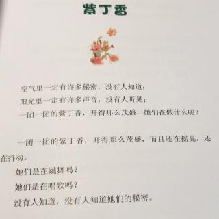 《紫丁香》