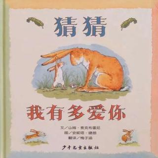 《猜猜我有多爱你》🐰🐰