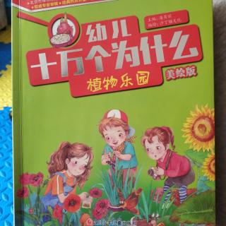 植物乐园1