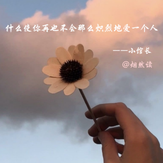 什么使你再也不会那么炽烈地爱一个人。——小馆长