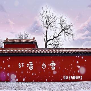 红墙白雪，你说你也喜欢 - 豆豆🎙《为你读书》