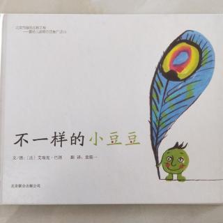 《不一样的小豆豆》