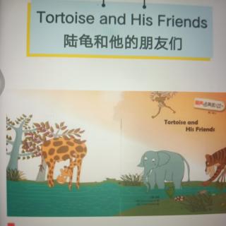 Tortoise and His Friends