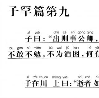 55、《论语》讲解版（子罕篇9.16-9.17）