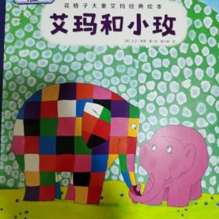 花格子大象艾玛经典绘本《艾玛和小玫》