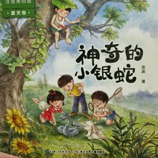 《黑痣小甲虫》