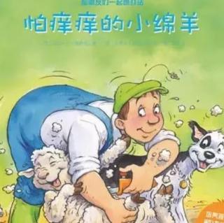 怕痒痒的小绵羊🐑