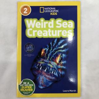 NG2 Weird Sea CreaturesP1-19