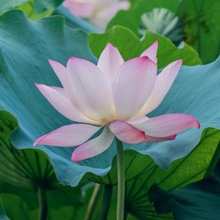 【15marchmike02】在线收听_mike b34_荔枝