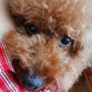 raymond1582分享到:分享到微信分享到qq好友分享到新浪微博分享到