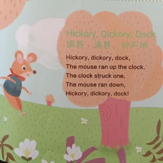 Hickory dickory dock点点