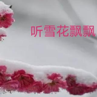 《幻空花》诵 雪花飘飘