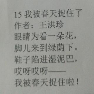 《我被春天捉住了》王洪珍