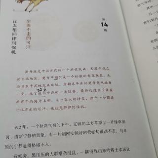 淼淼讲技术故事辽太祖耶律阿保机