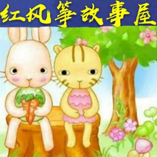 【水西门幼儿园】红风筝故事屋05《小花猫和小白兔》