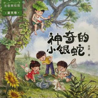 《白马 黑马》