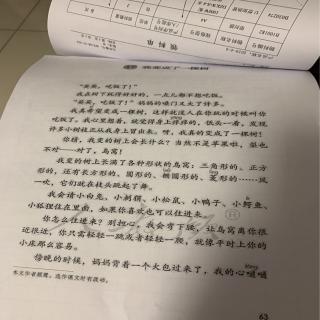 我变成了一颗树