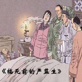 人物描写一组（三） - 二四班 杨紫涵