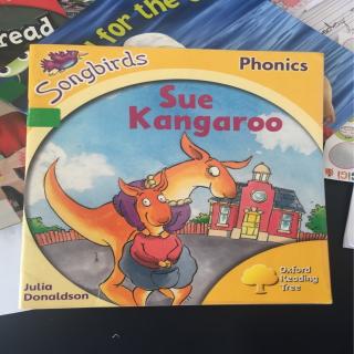 sue kangaroo