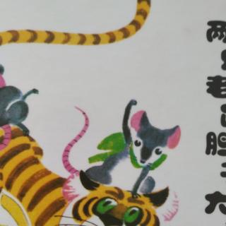 两只老🐭鼠胆子大