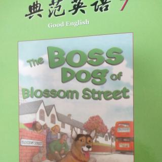 The boss dog of blossom street