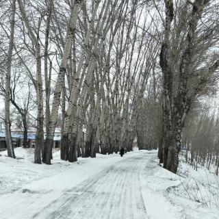 《回望来路》刘有昌