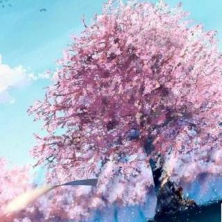 铭佳僮鑫🌈第36个睡前故事《樱花树下的秘密树洞》