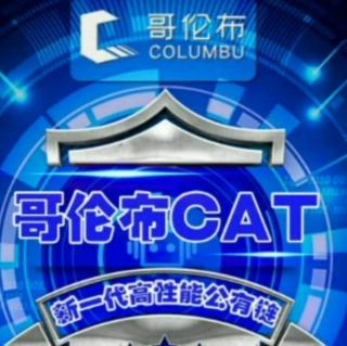 哥伦布CAT愿景之区块链中国