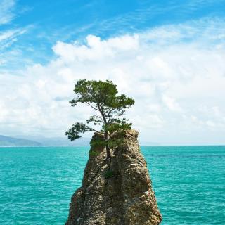 面朝大海，春暖花开