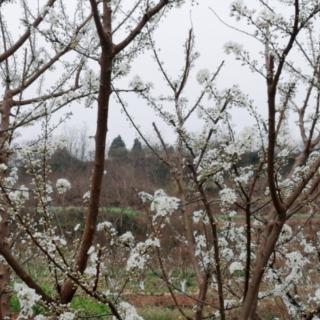 3月15号六项精进