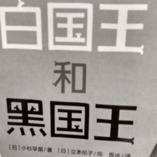 白国王和黑国王