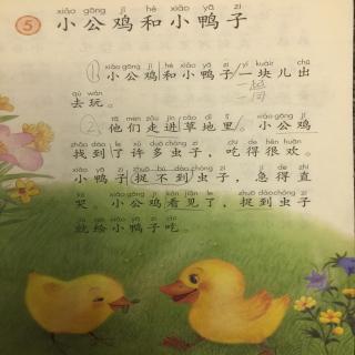 苏雨菲朗读课文《小公鸡和小鸭子》