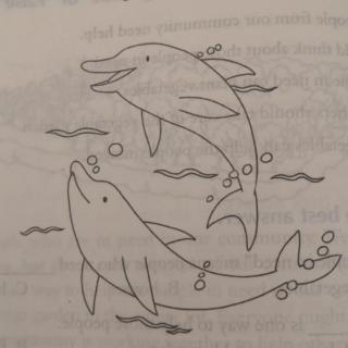 蜗牛篇通关Lovely dolphins