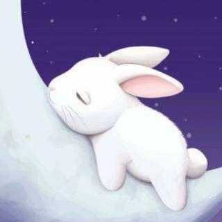 想吃月亮的小兔子