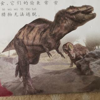 到恐龙时代