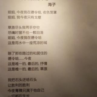 姐姐，今夜我在德令哈（海子）