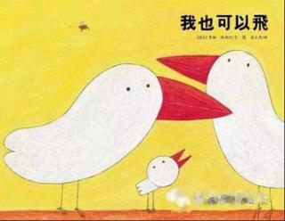 《我也可以飞🐦》