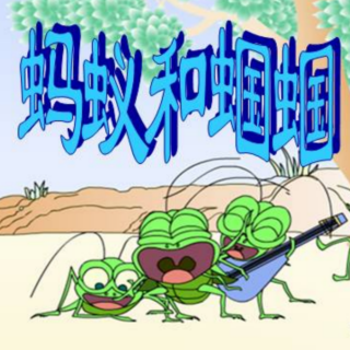 启慧幼儿园–《蚂蚁和蝈蝈》–梁宇