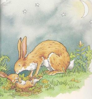 026     大兔子和小兔子