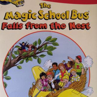 THE MAGIC SCHOOL BUS FALLS FROM THE NEST